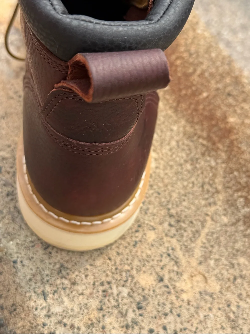 Irish Setter step into